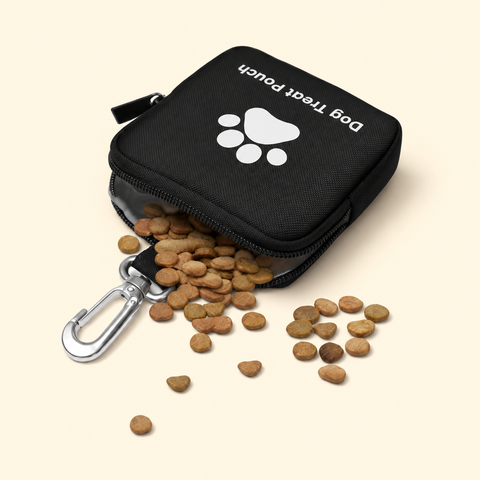Compact Outdoor Treat Pouch