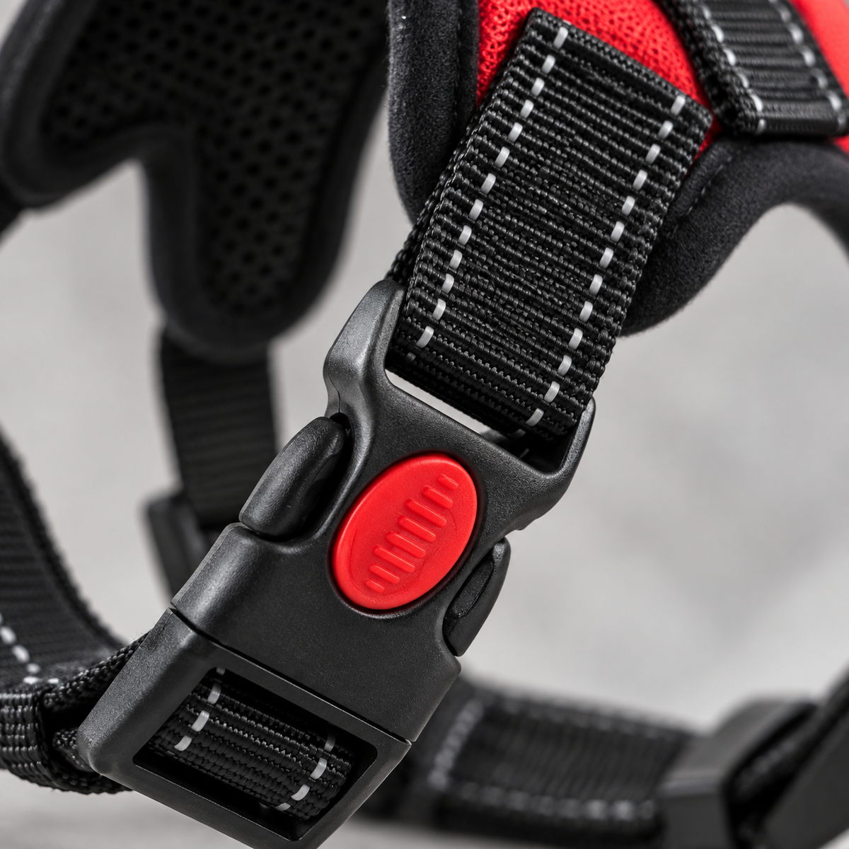 Close-up of harness webbing and buckle detail
