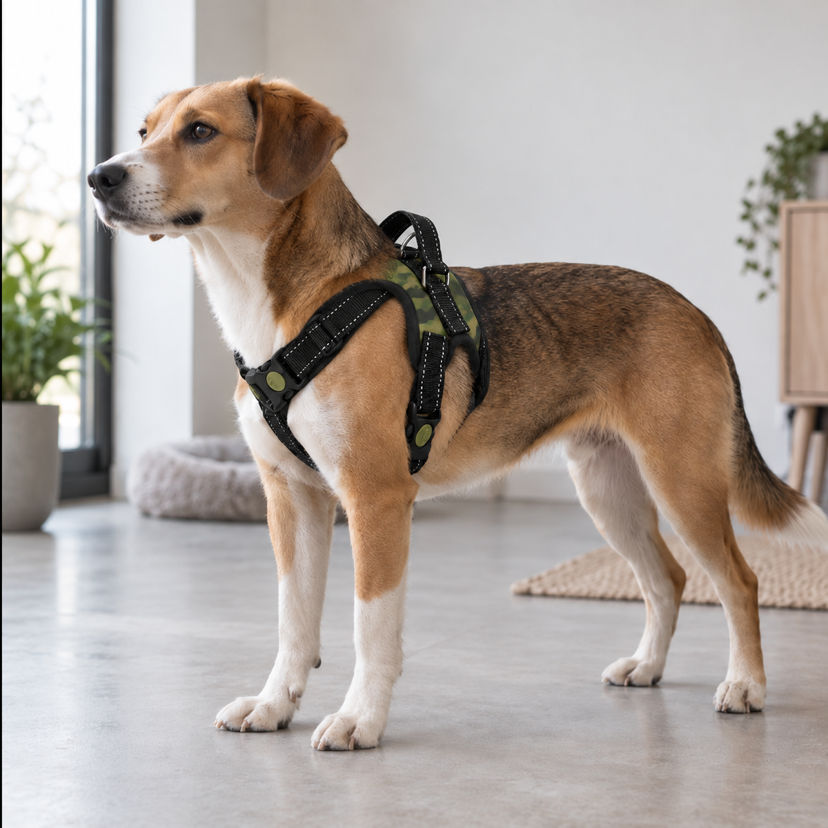 Comfort Pro Padded Dog Harness — XS to XL