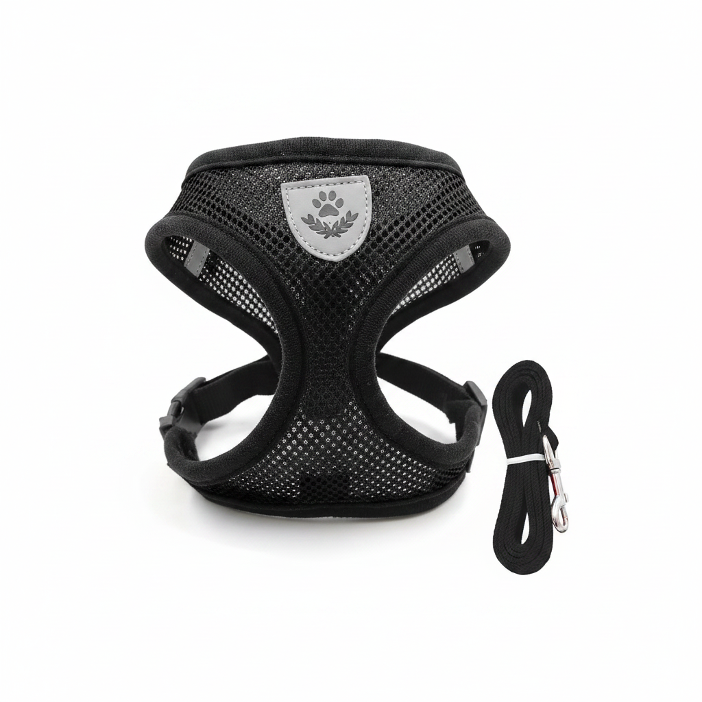 Harness Black