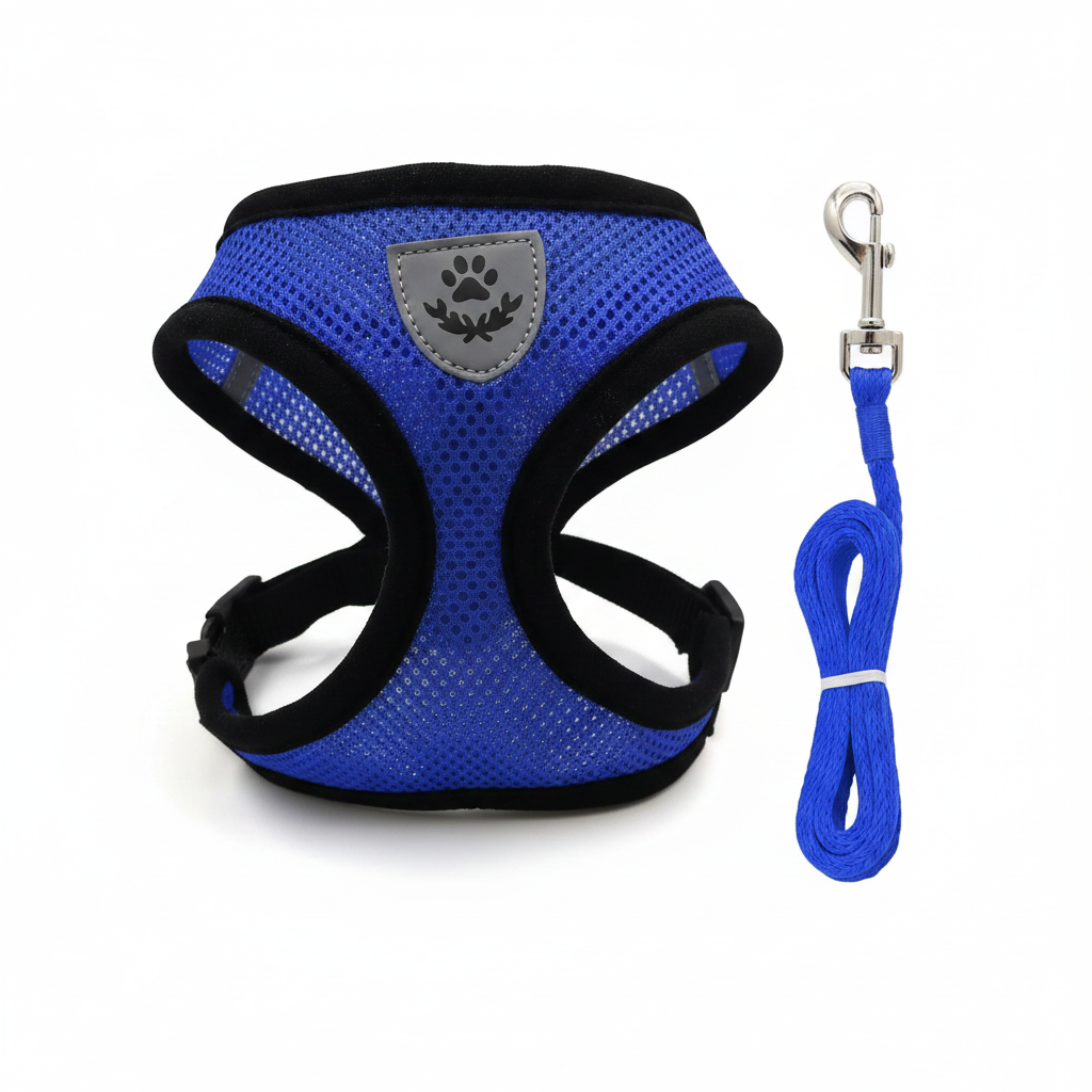Harness Blue