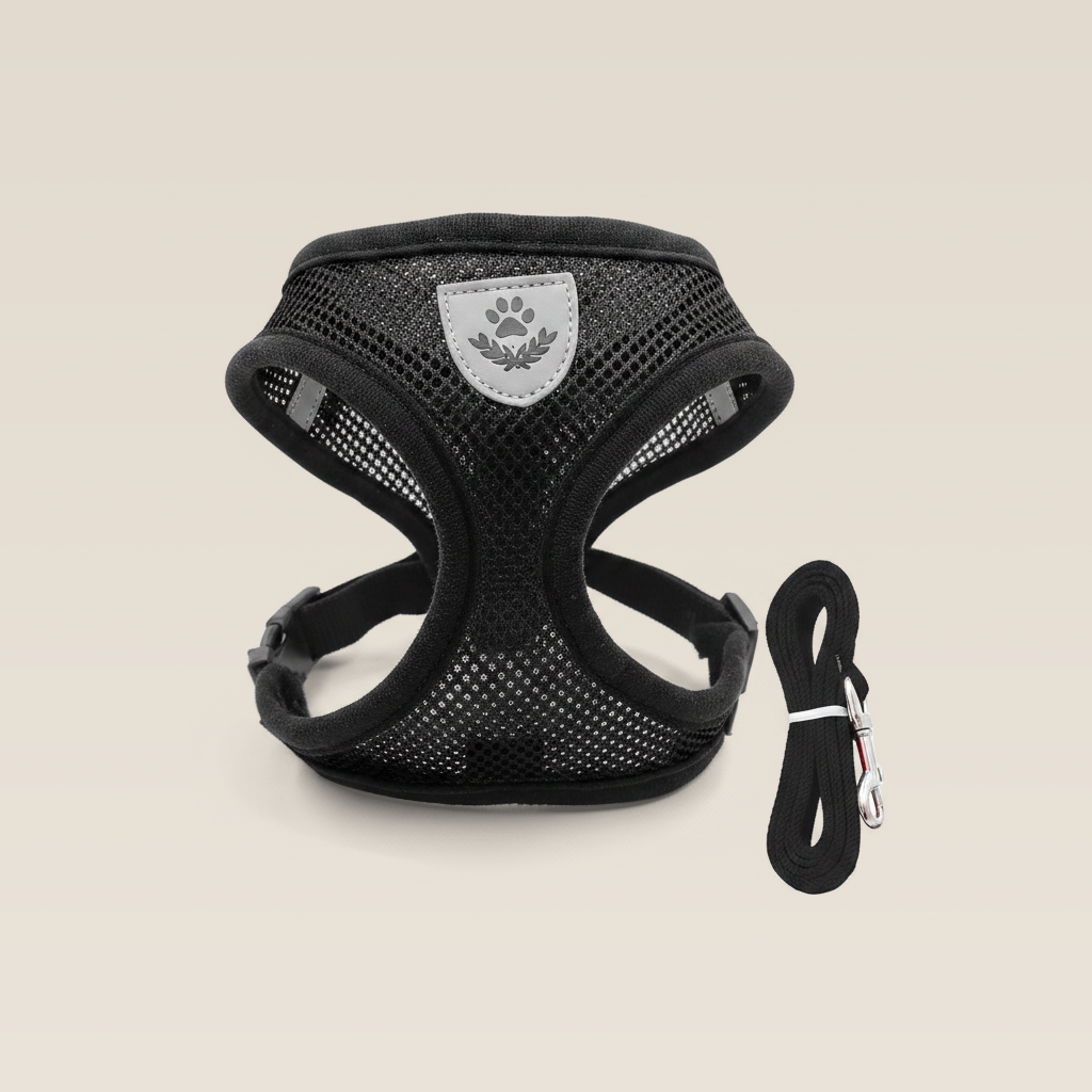 Black Reflex harness and matching lead on a warm cream studio background