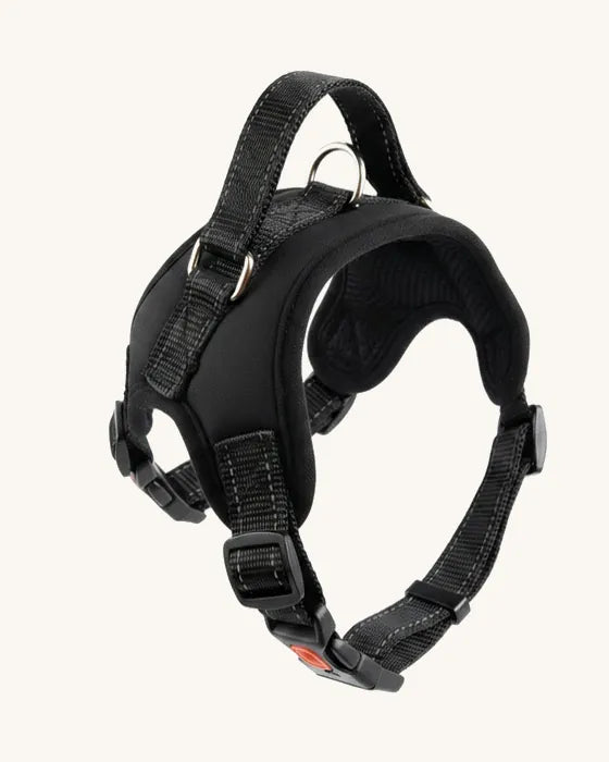 Padded dog harness, rotating.