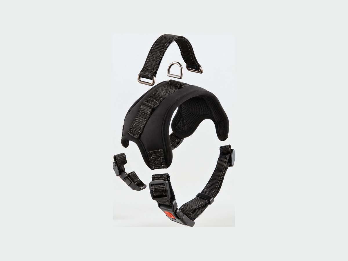 The harness separated into its individual parts.