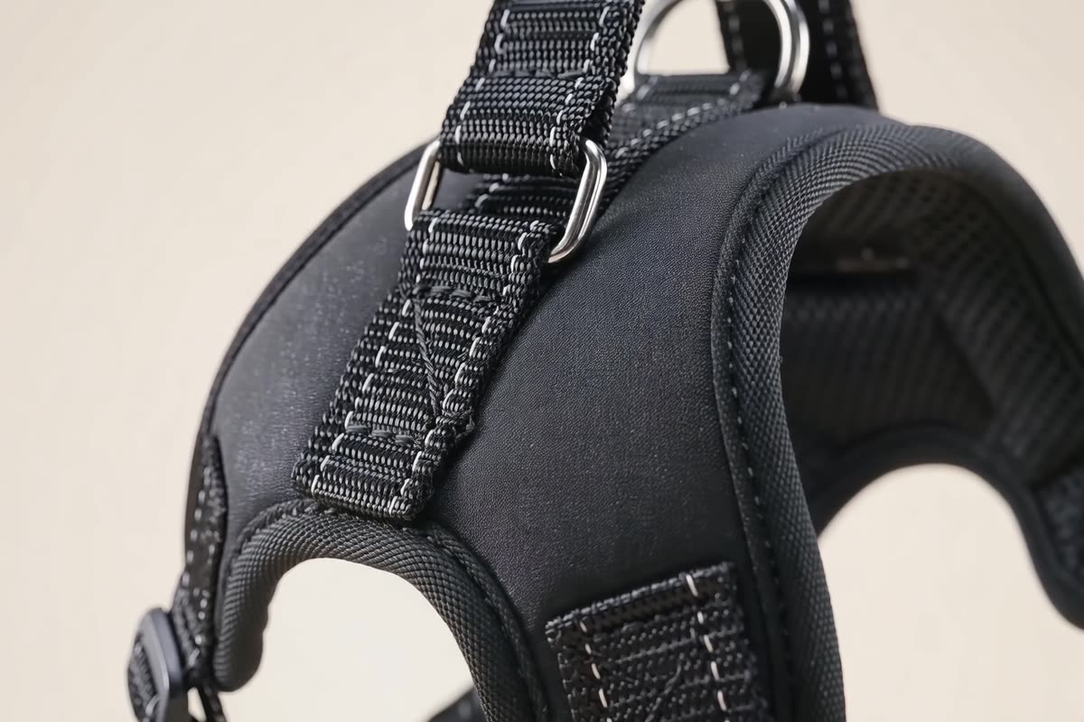 Close-up of the harness webbing and metal lead ring.