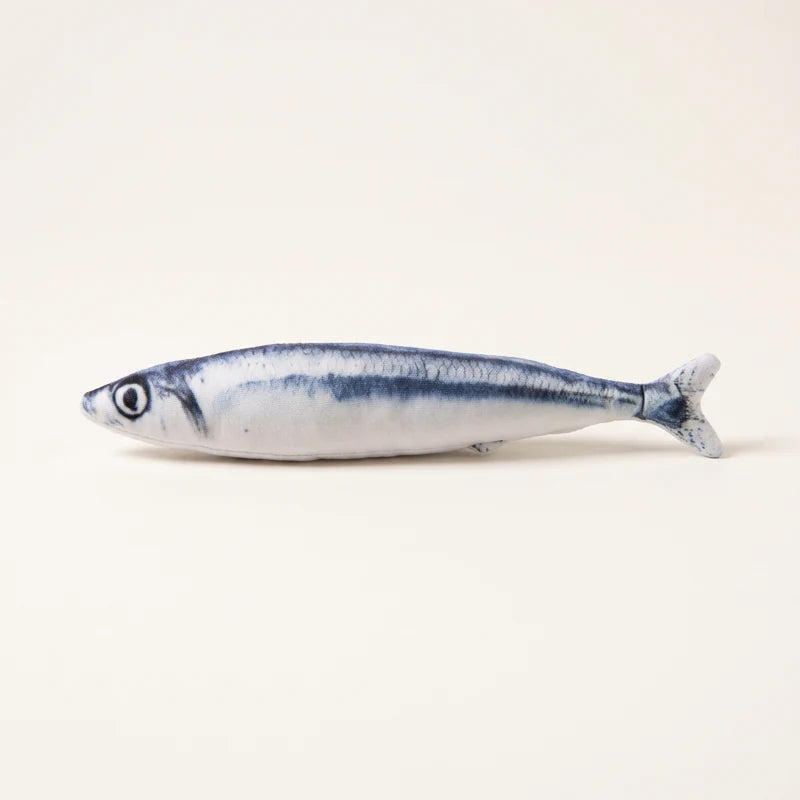 Knife Fish